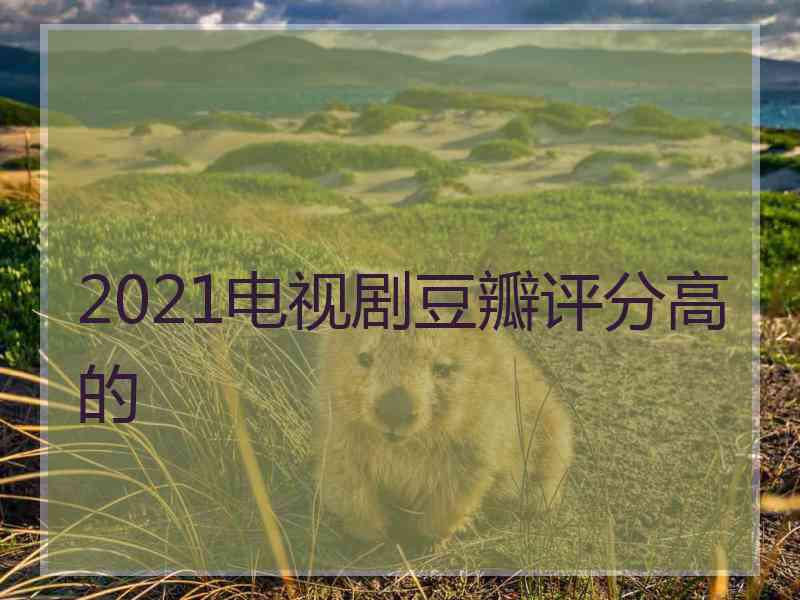 2021电视剧豆瓣评分高的