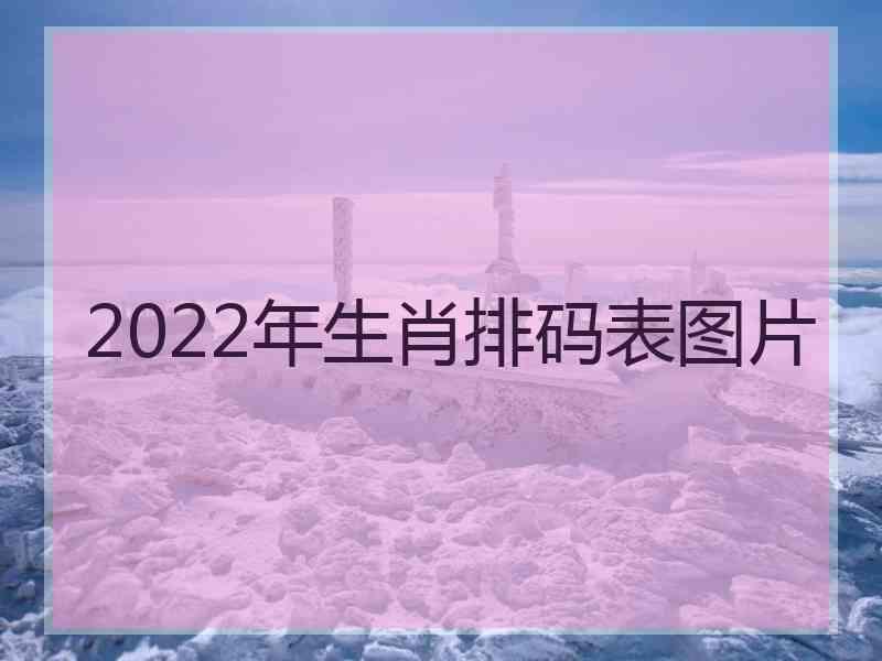 2022年生肖排码表图片