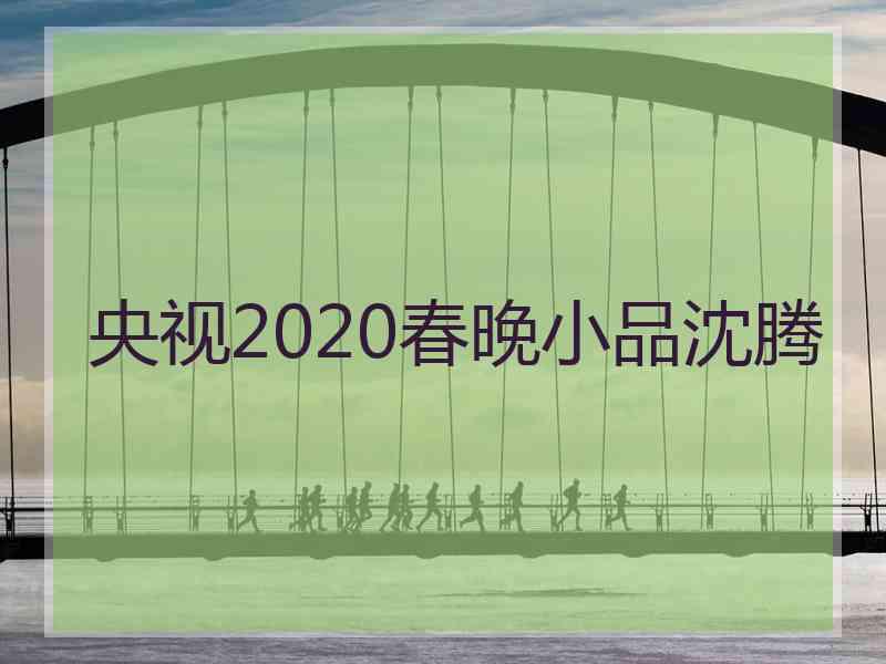 央视2020春晚小品沈腾