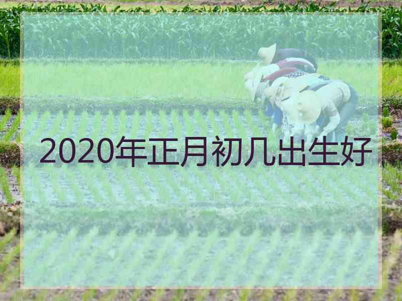 2020年正月初几出生好