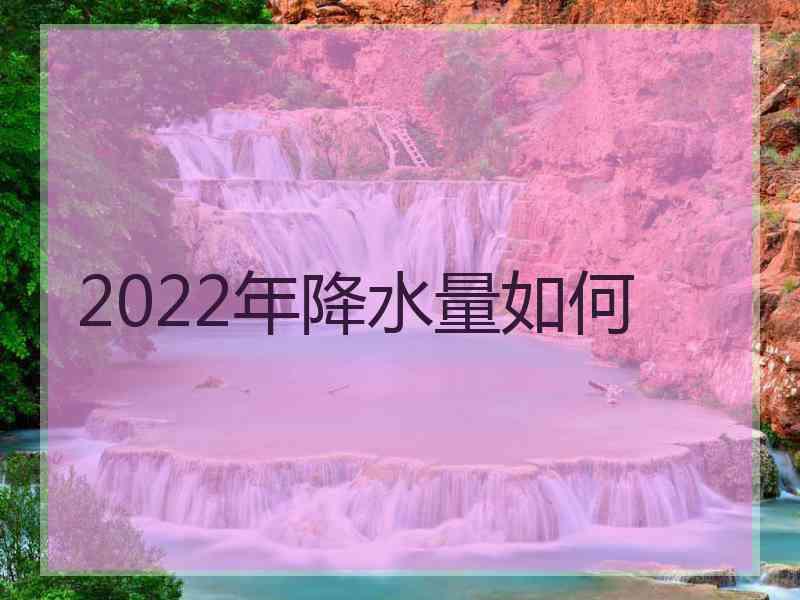 2022年降水量如何