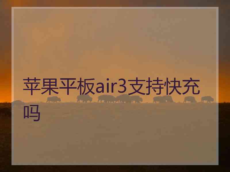 苹果平板air3支持快充吗