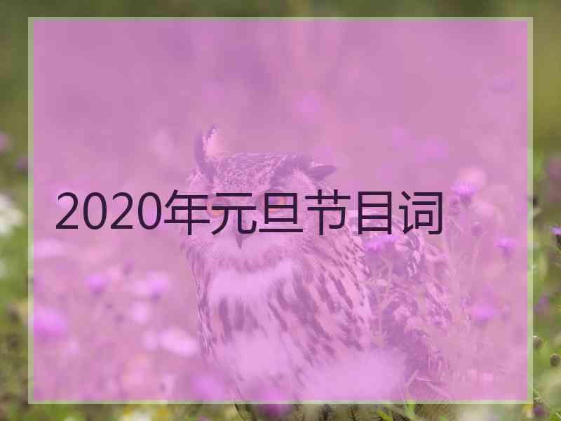 2020年元旦节目词