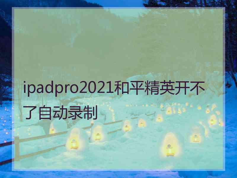 ipadpro2021和平精英开不了自动录制