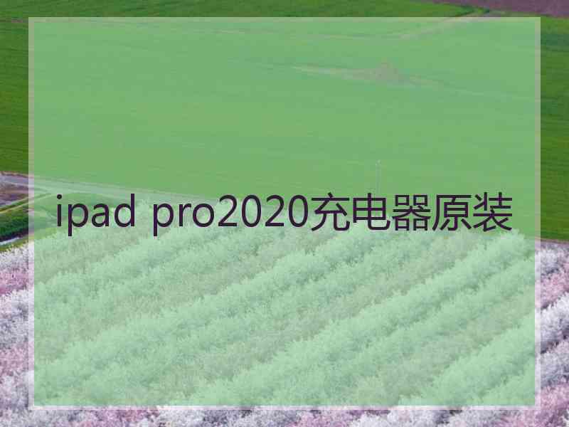 ipad pro2020充电器原装