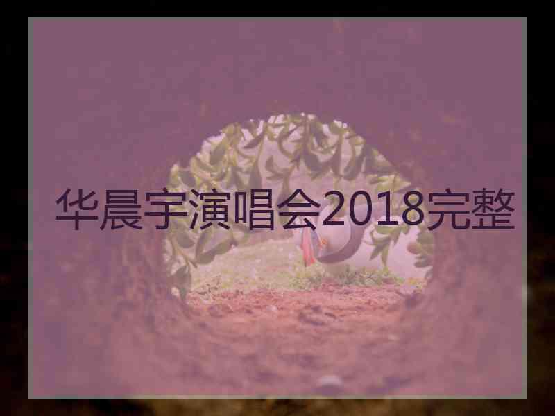 华晨宇演唱会2018完整