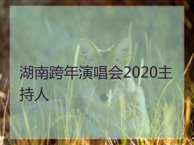 湖南跨年演唱会2020主持人