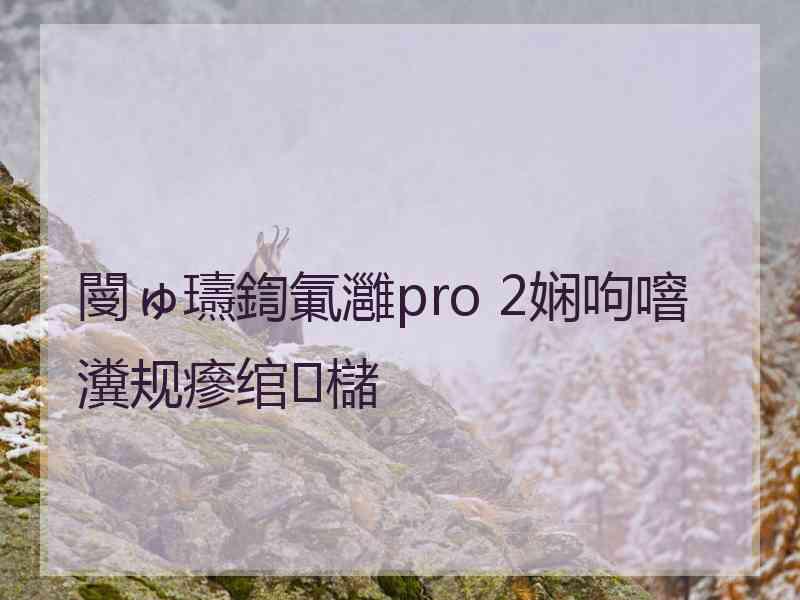 閿ゅ瓙鍧氭灉pro 2娴呴噾瀵规瘮绾櫧