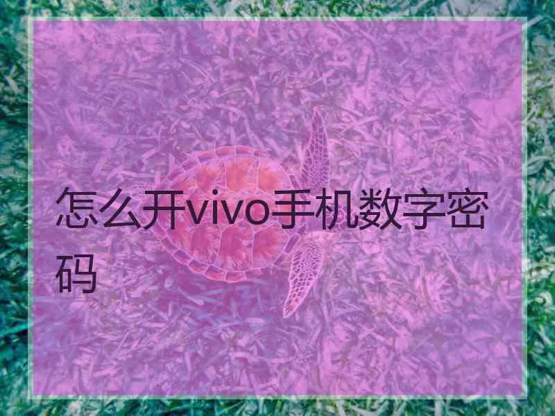 怎么开vivo手机数字密码