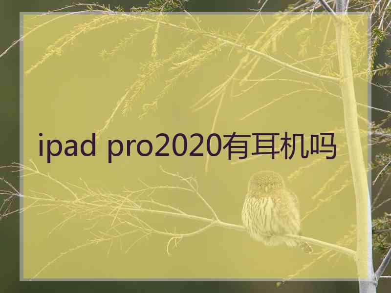 ipad pro2020有耳机吗