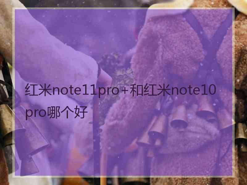 红米note11pro+和红米note10pro哪个好