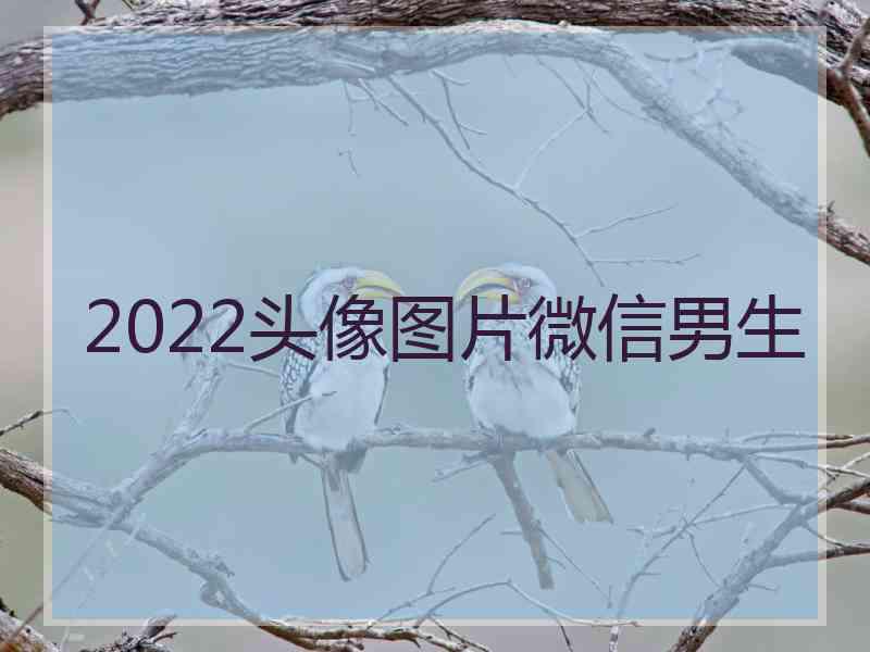 2022头像图片微信男生