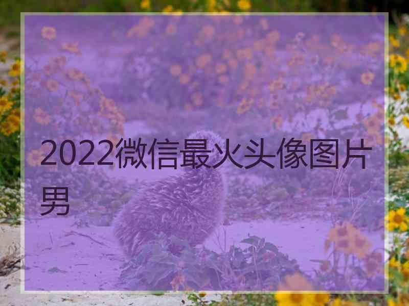 2022微信最火头像图片男