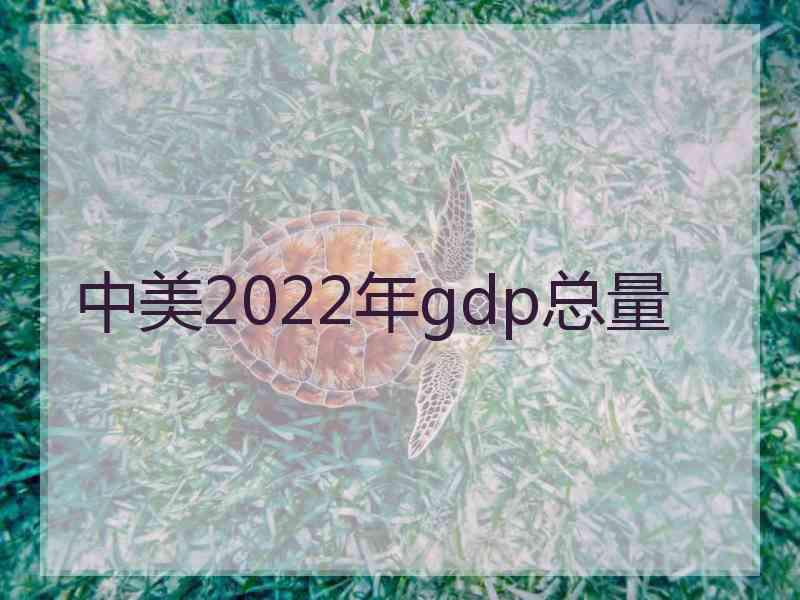 中美2022年gdp总量