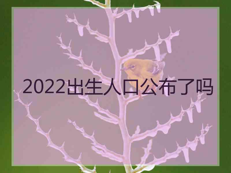 2022出生人口公布了吗