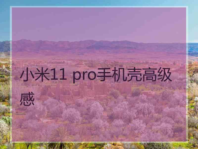 小米11 pro手机壳高级感