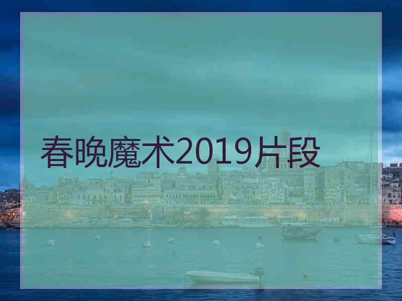 春晚魔术2019片段