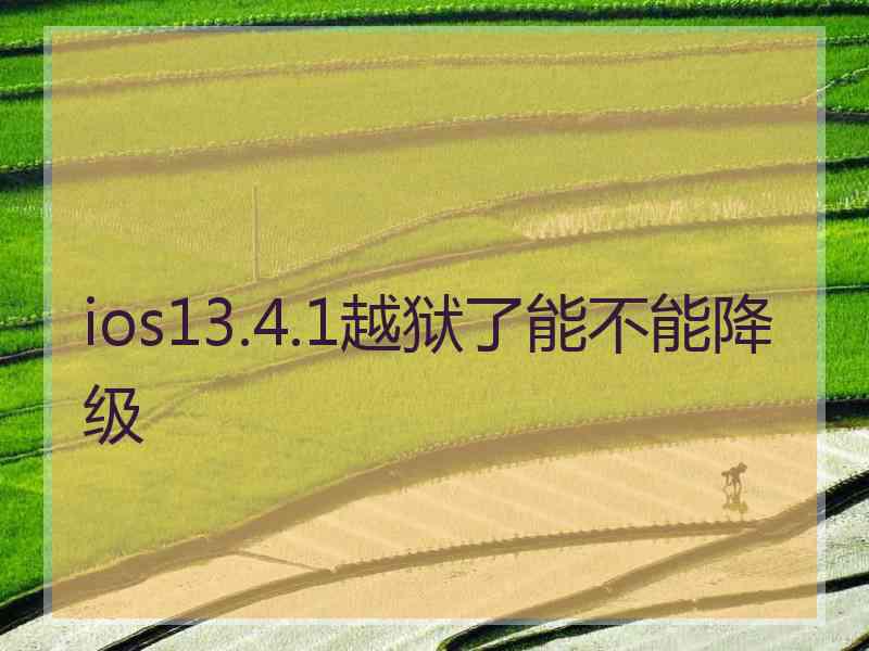 ios13.4.1越狱了能不能降级