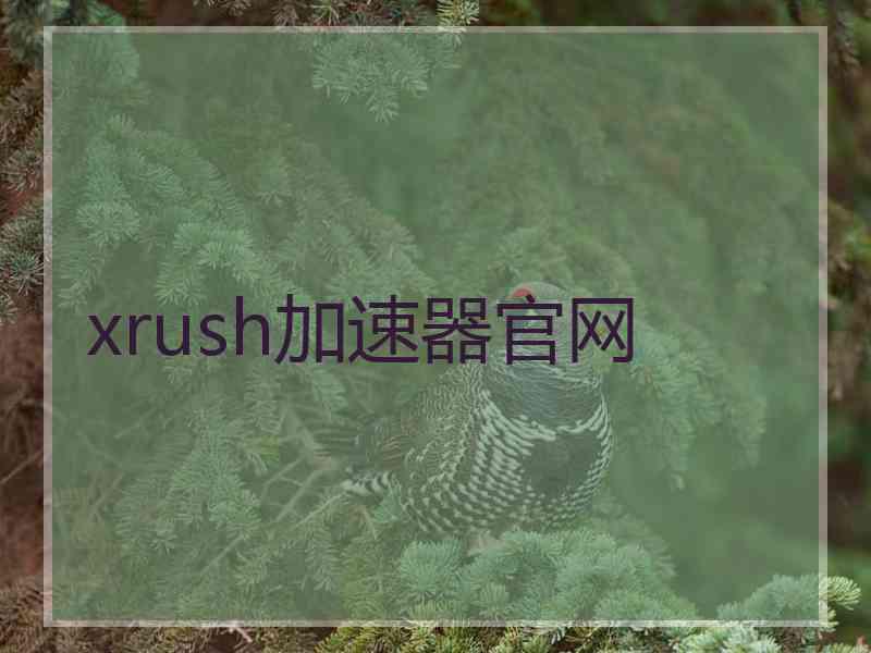 xrush加速器官网