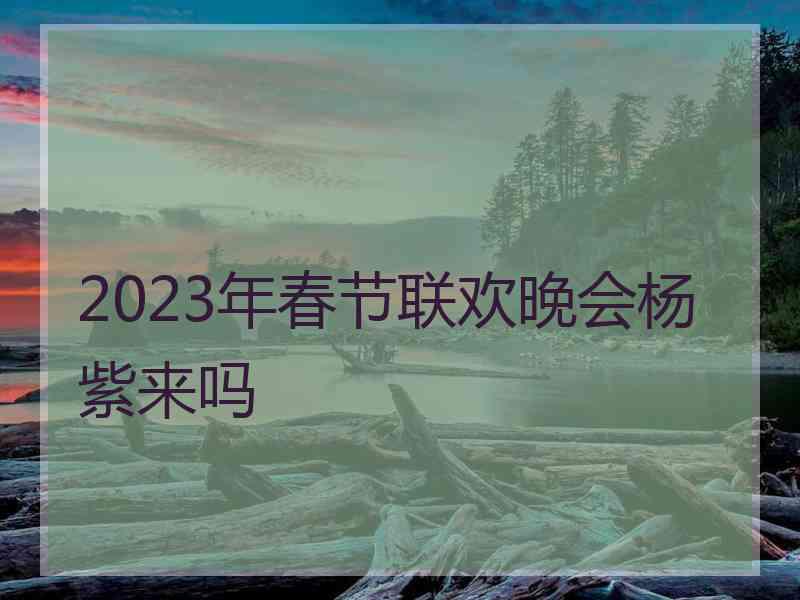 2023年春节联欢晚会杨紫来吗