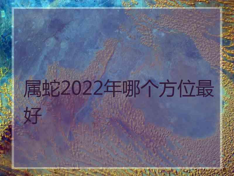 属蛇2022年哪个方位最好