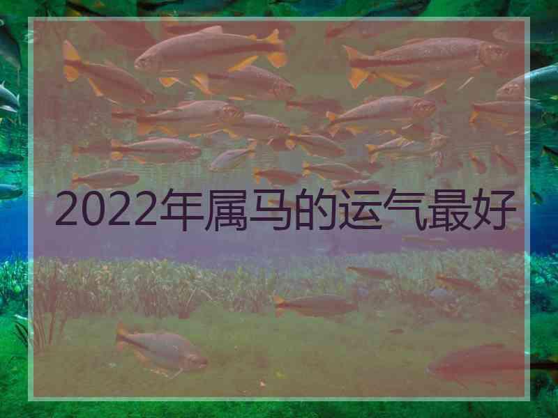 2022年属马的运气最好