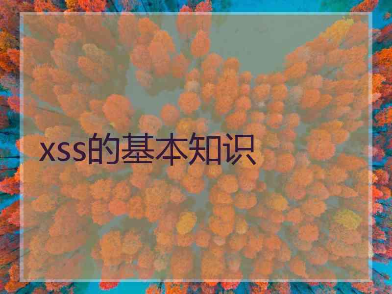 xss的基本知识