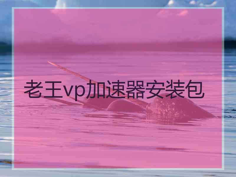 老王vp加速器安装包