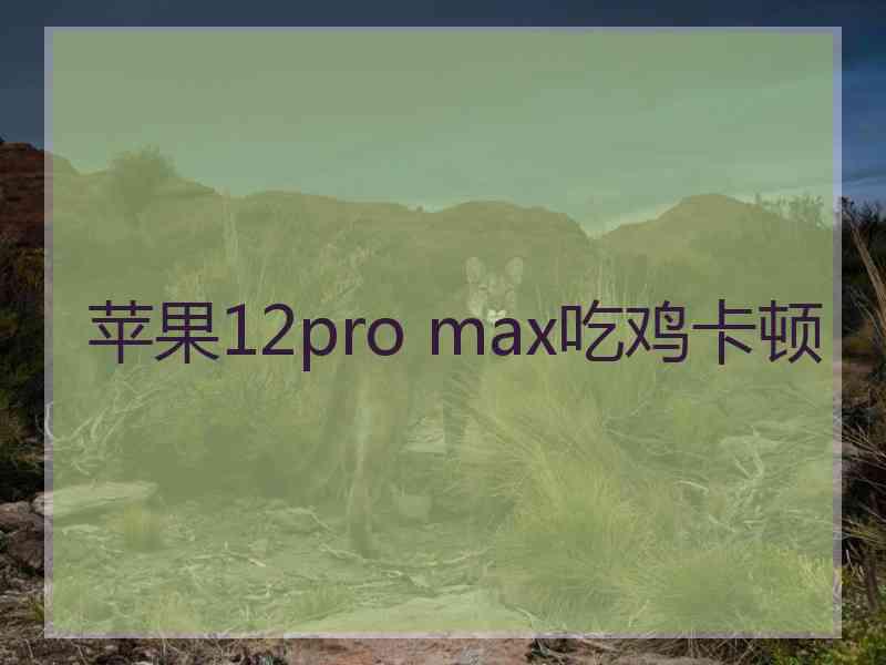 苹果12pro max吃鸡卡顿