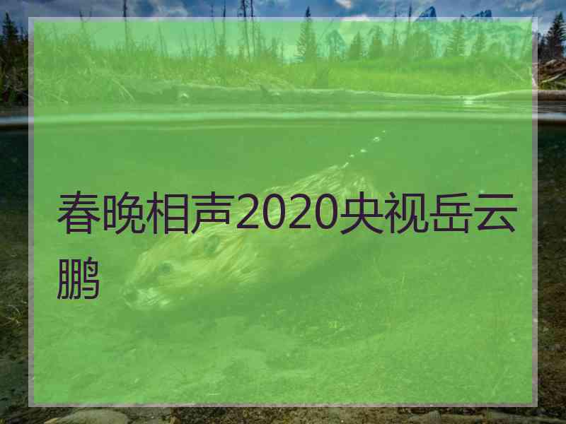 春晚相声2020央视岳云鹏