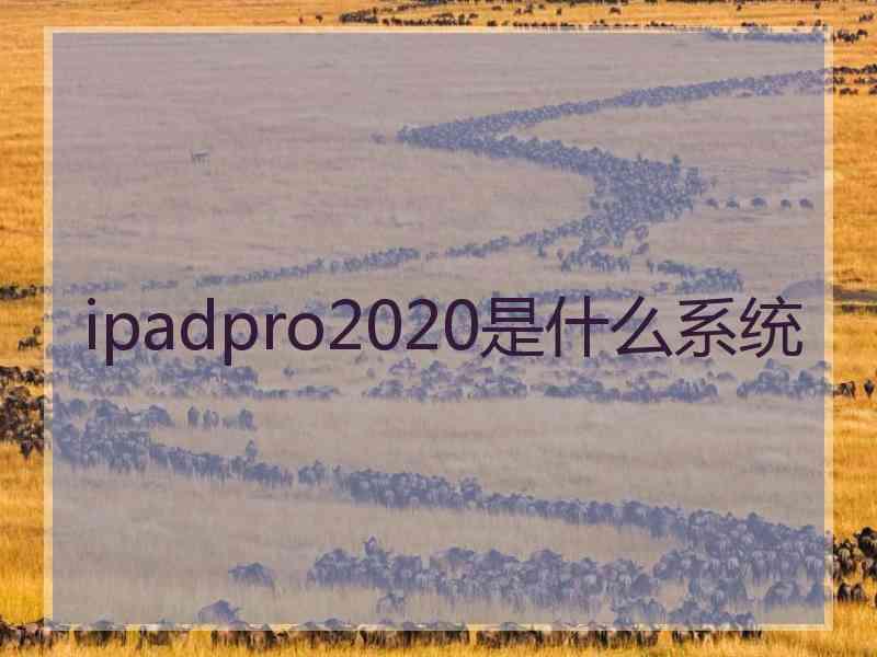 ipadpro2020是什么系统