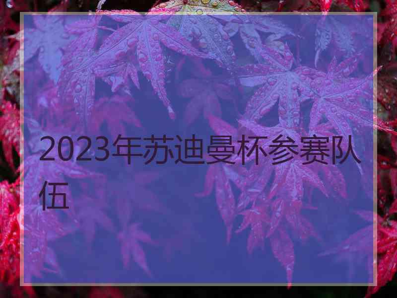 2023年苏迪曼杯参赛队伍