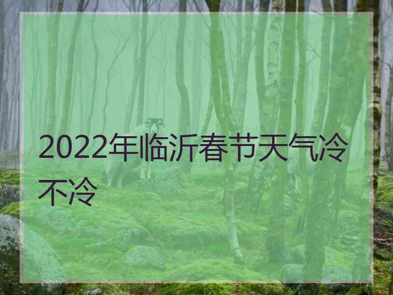 2022年临沂春节天气冷不冷