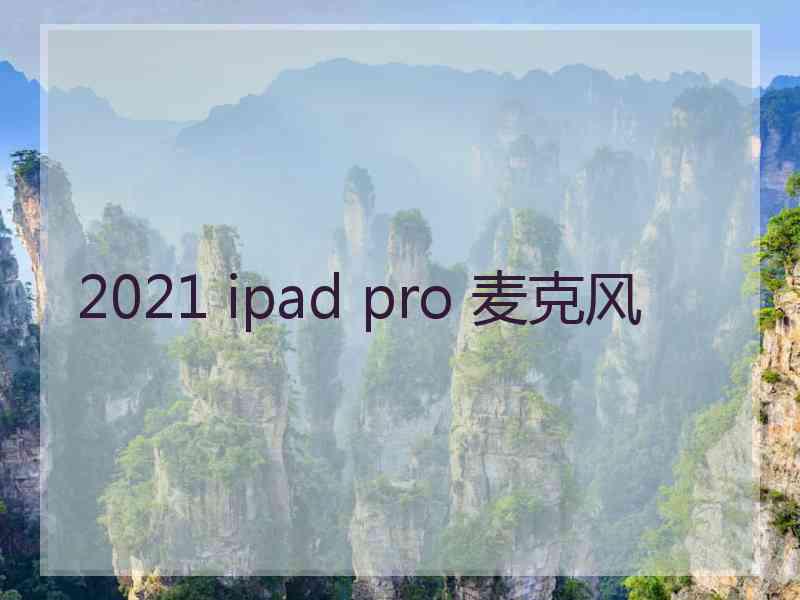 2021 ipad pro 麦克风