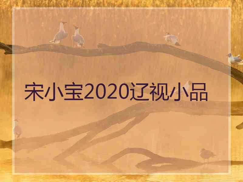 宋小宝2020辽视小品