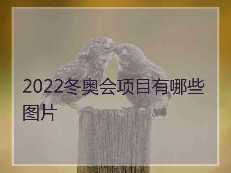 2022冬奥会项目有哪些图片