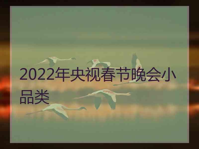 2022年央视春节晚会小品类