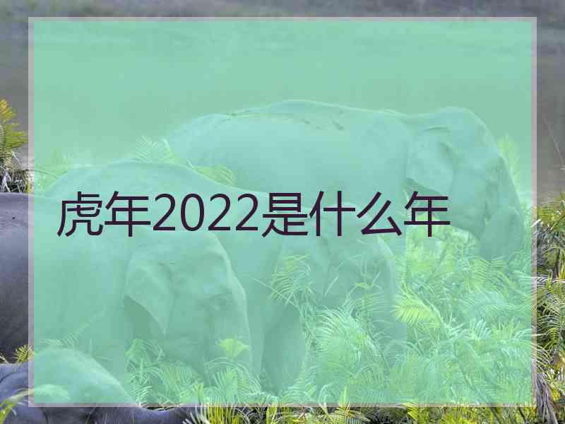 虎年2022是什么年