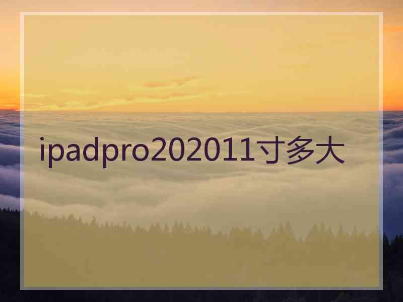 ipadpro202011寸多大