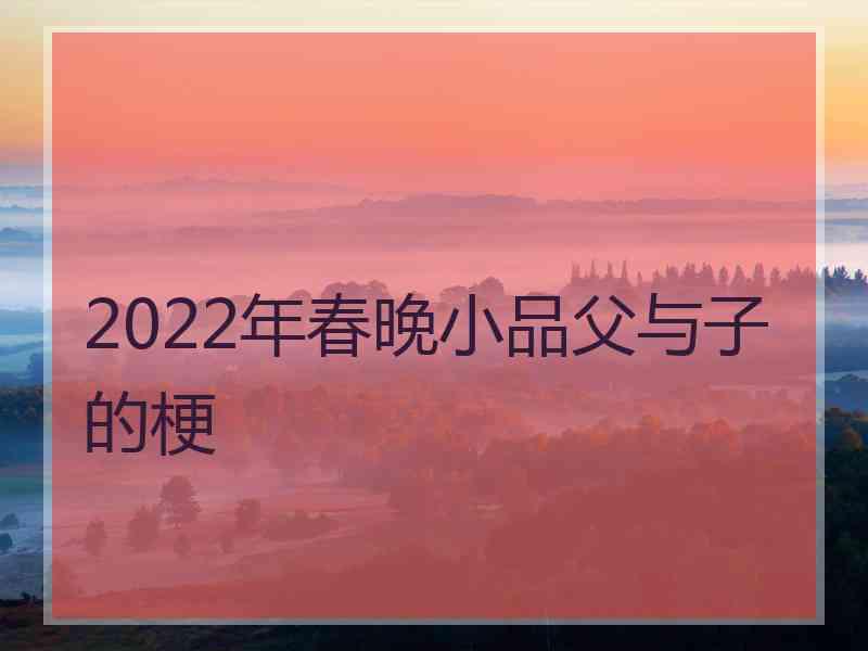 2022年春晚小品父与子的梗