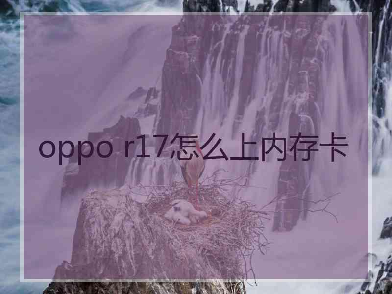 oppo r17怎么上内存卡