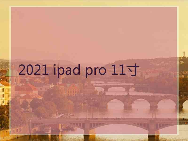 2021 ipad pro 11寸