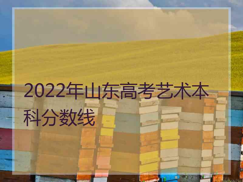 2022年山东高考艺术本科分数线