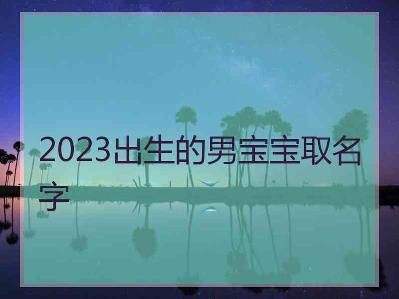 2023出生的男宝宝取名字