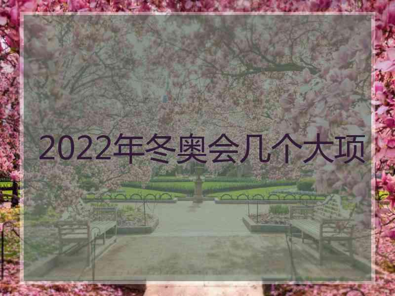 2022年冬奥会几个大项