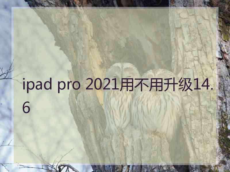 ipad pro 2021用不用升级14.6