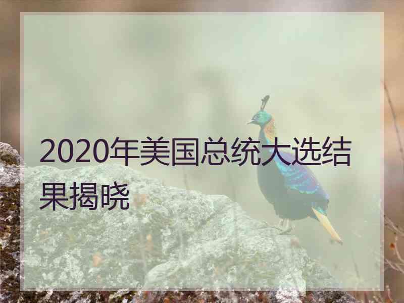 2020年美国总统大选结果揭晓