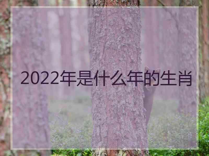 2022年是什么年的生肖