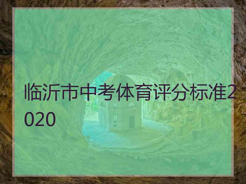 临沂市中考体育评分标准2020