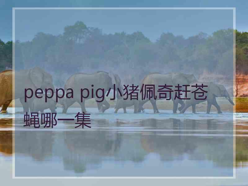 peppa pig小猪佩奇赶苍蝇哪一集